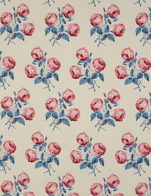 Ткань Colefax and Fowler Classic Prints I 01020/02