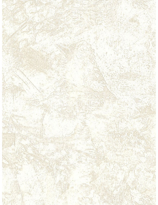 Обои Blue Mountain Black & White BC1583417