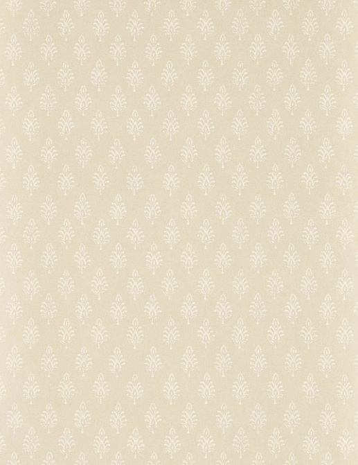 Обои Clarke & Clarke Indira W0238/04