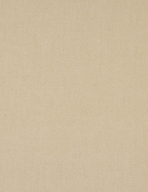 Ткань Colefax and Fowler Tyndall Linen F4686/27