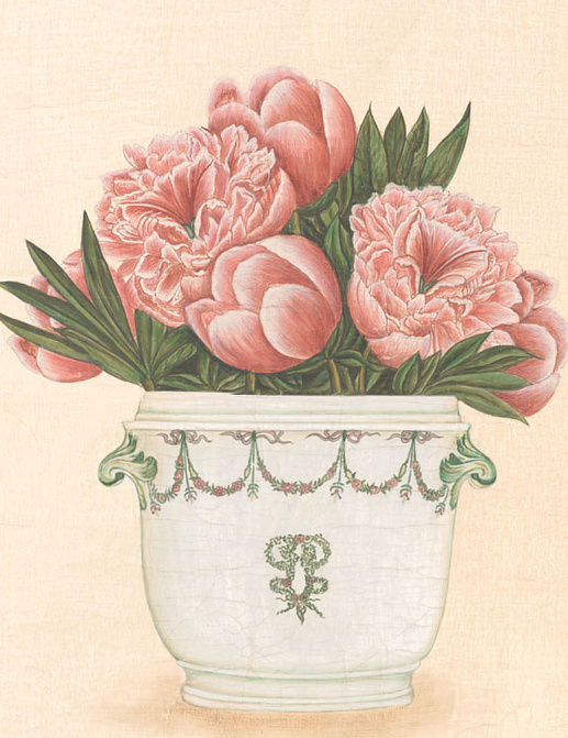 Панно и фотообои Iksel Scenic & Architectural Wallpapers Potted Flowers PF15