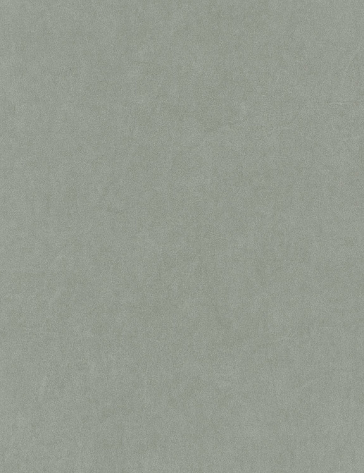 Обои Casadeco Cotton Touch COTO82387117