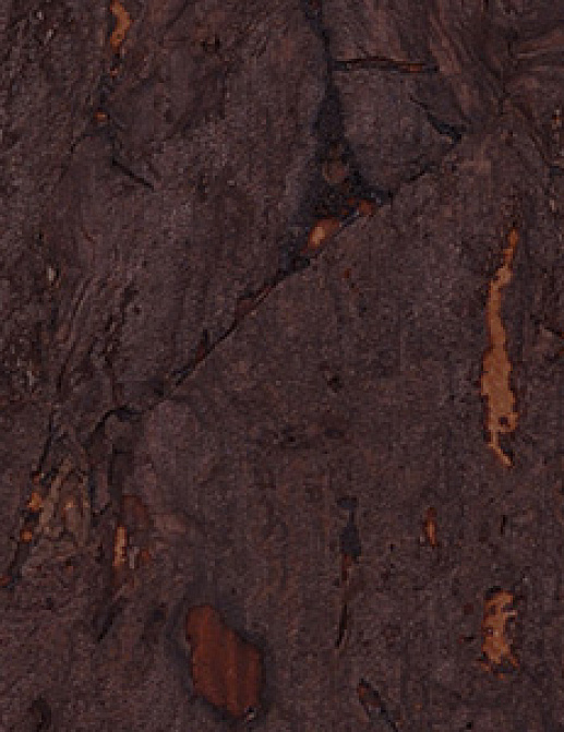 Обои Innovations Collection Gilden Cork GCO-109 RUSTED