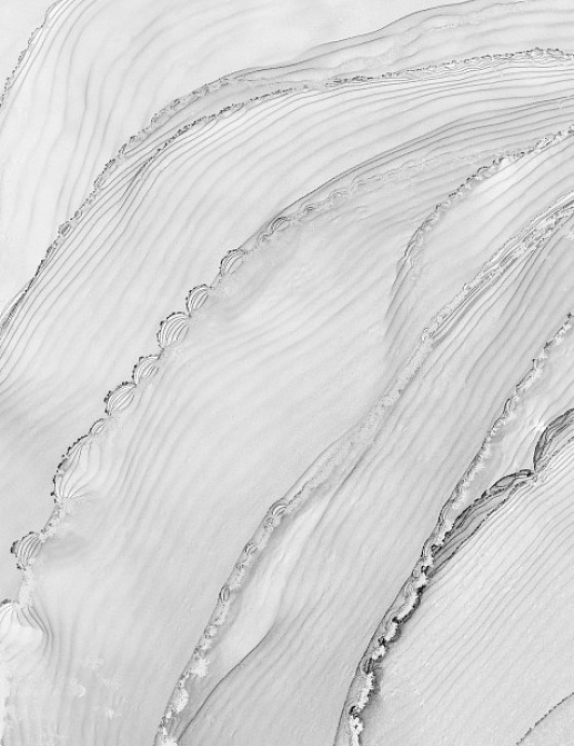 Панно и фотообои Ortograf Fluid Art 34214bw