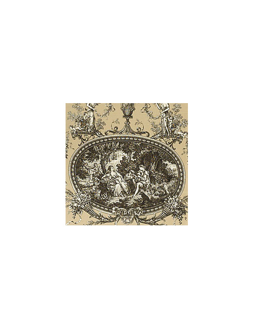 Ткань Thibaut Toile Resource II F99717