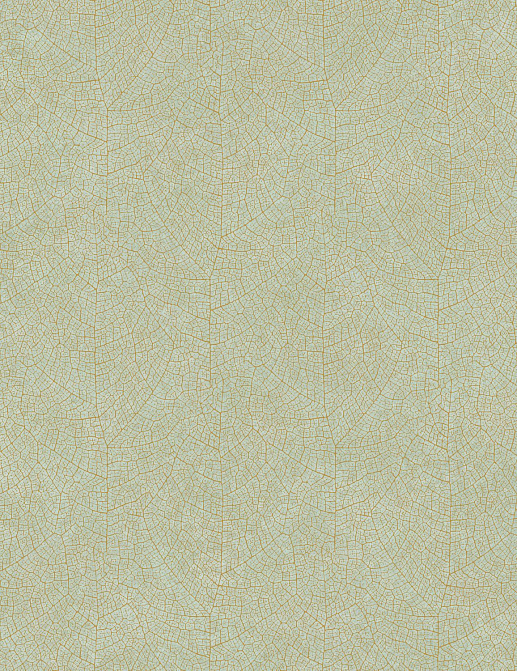 Обои Casadeco So Color 5 COLR26217010
