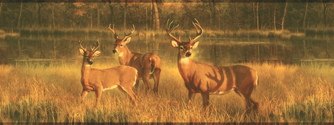 Бордюр York Lake Forest Lodge CH7862BD