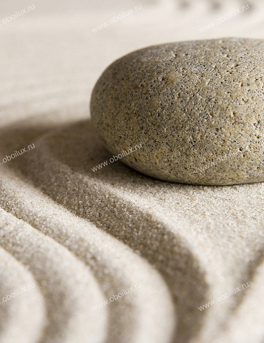 Панно и фотообои A. S. Creation XXL II 373 Stone On Sand 