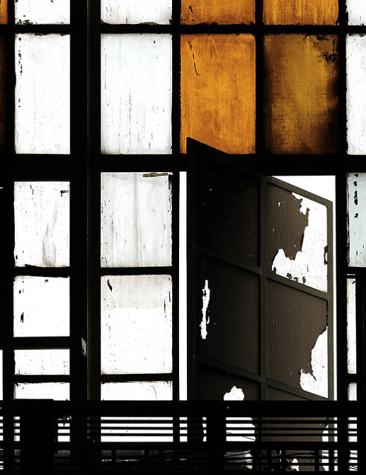 Панно и фотообои A. S. Creation Living Walls - Walls by Patel 2 DD113303