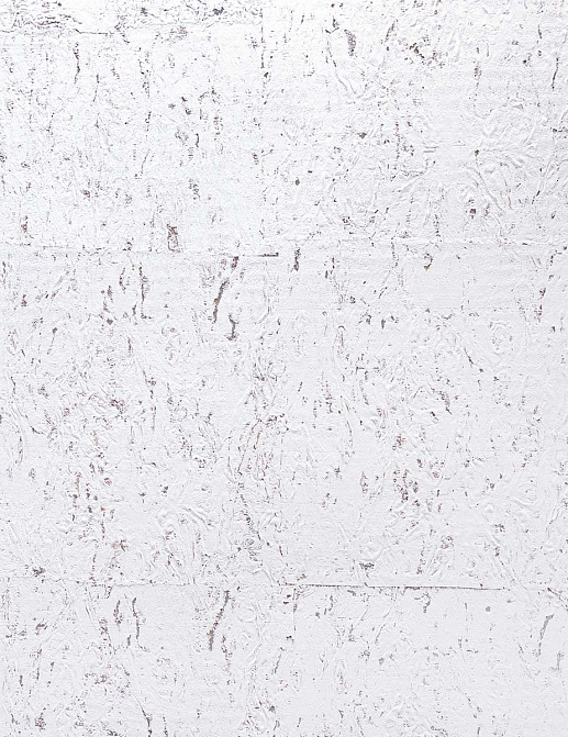 Обои Carl Robinson Edition 20 White Natural Textures DB32900