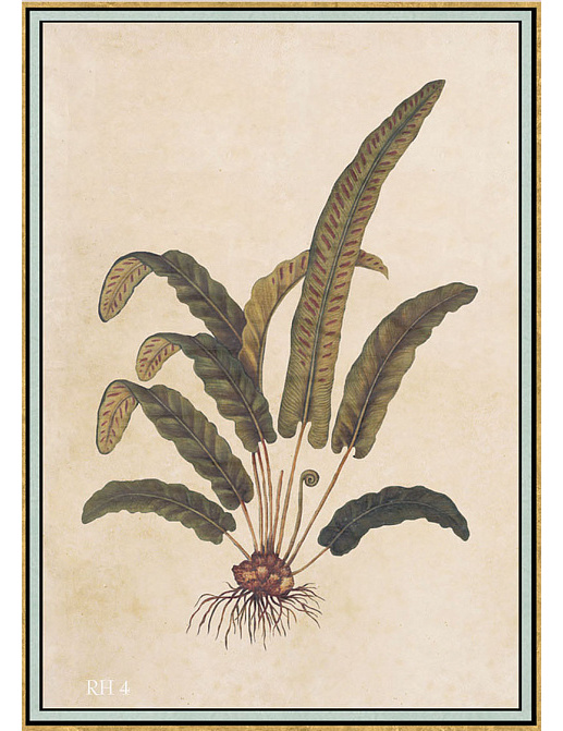 Панно и фотообои Iksel Scenic & Architectural Wallpapers Renaissance Herbier RH4