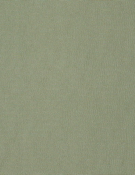 Ткань Designers Guild Satinato 2 F1555/12