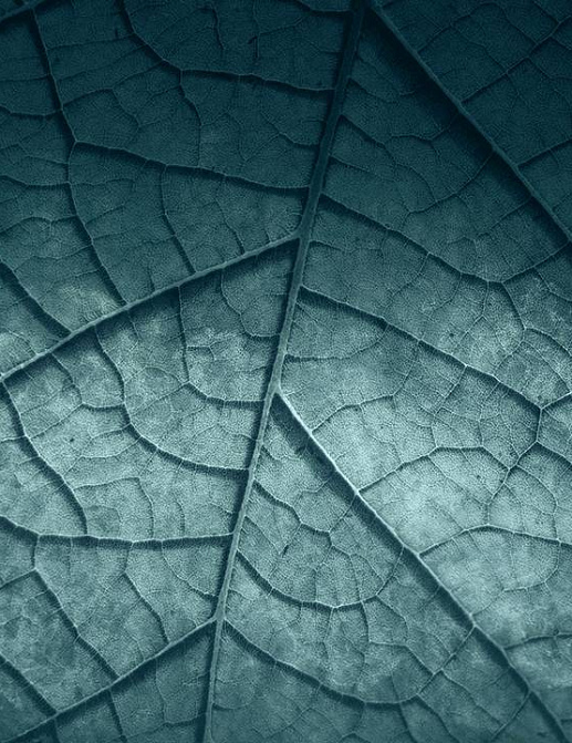 Панно и фотообои Skinwall Contemporary Collection 125A