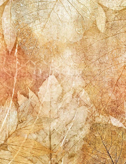 Панно и фотообои Affresco New Art RE204 COL2