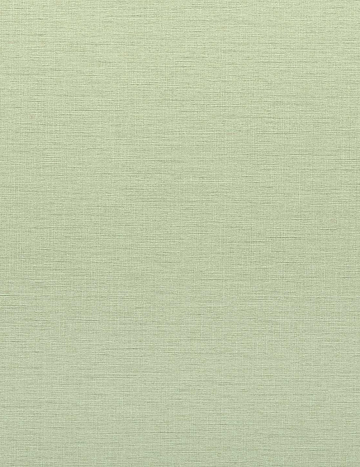 Обои Phillip Jeffries Performance Vinyl 8193