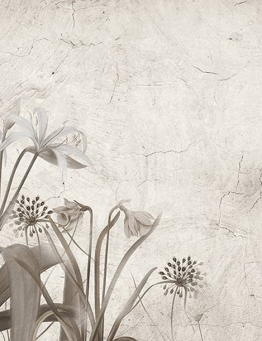 Панно и фотообои Skinwall Suite Collection 727