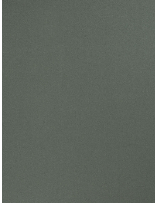 Ткань Trend Multipurpose Sleek Satin Vol.II 02022/Beetle