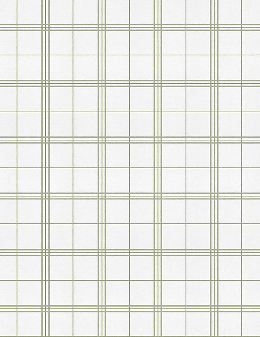 Обои Coordonne Stripes & Checks A00755N