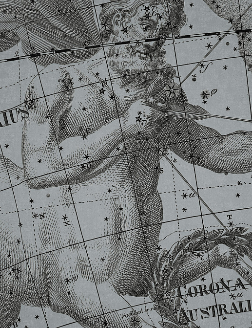 Панно и фотообои Italreflexes Macro Sagittarius-006/Silver