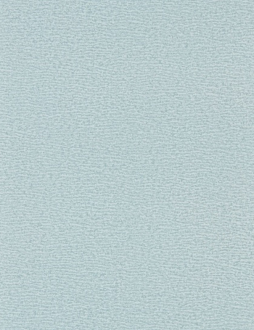 Обои Oxford Street Papers Fine English Wallpapers Vol. I AREM03