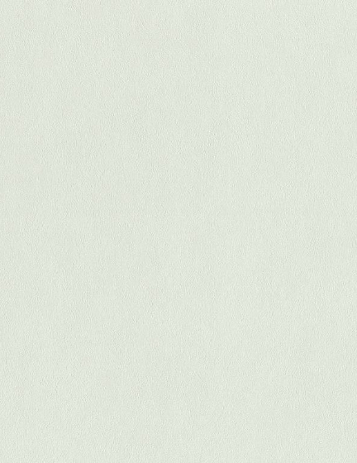 Обои Rasch Harmony 943863