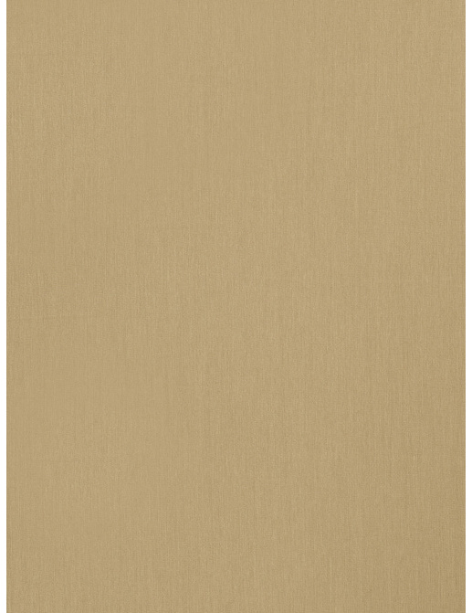 Ткань Trend Simple Wide Sheers 03340/muslin