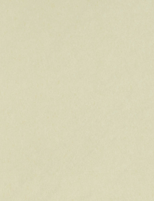 Обои Osborne & Little Chroma W7360-07