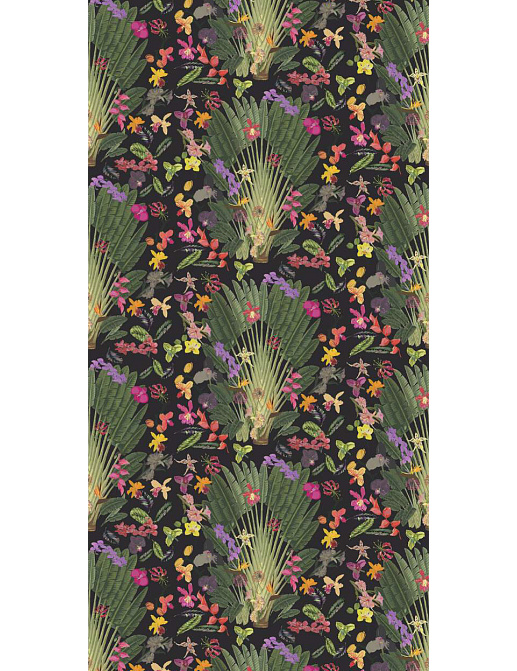 Обои Nicolette Mayer Regency Moderne Fantasy Tropical/Black