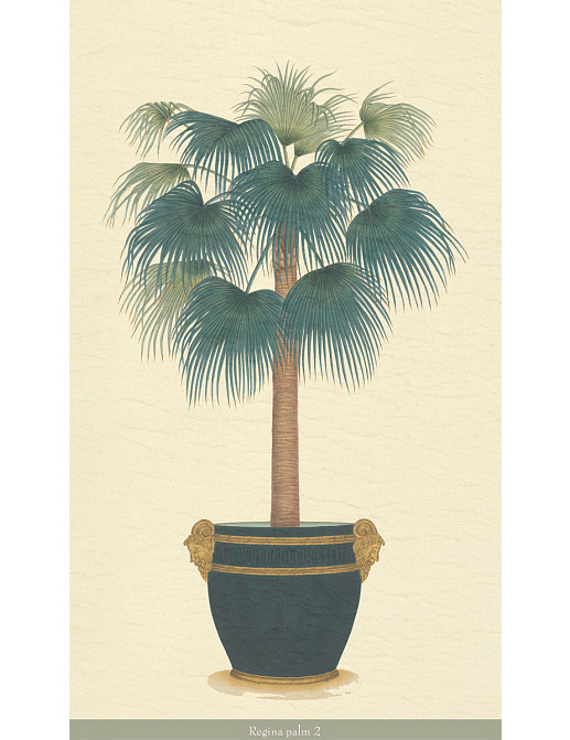 Панно и фотообои Iksel Scenic & Architectural Wallpapers Potted Palms PTT Regina palm 2