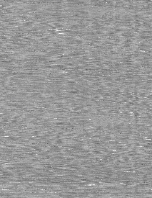 Обои Paper & Ink Natural Silhouettes NS52102