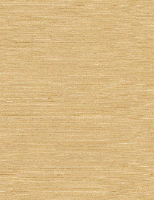 Обои York Ronald Redding Grasscloth & Natural Resource GV0112NW