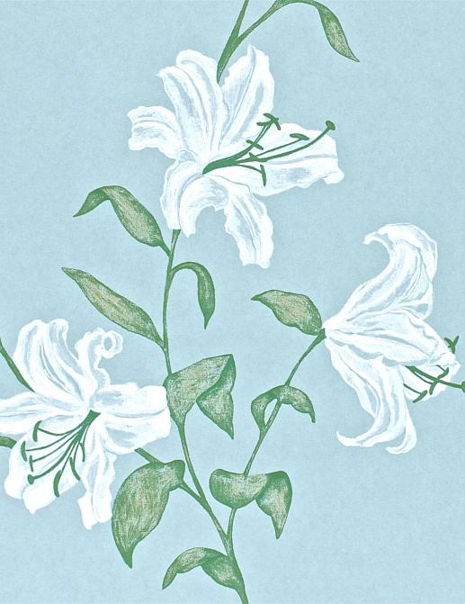 Обои Sanderson Wallpapers from a Painters Garden DAPGSE103