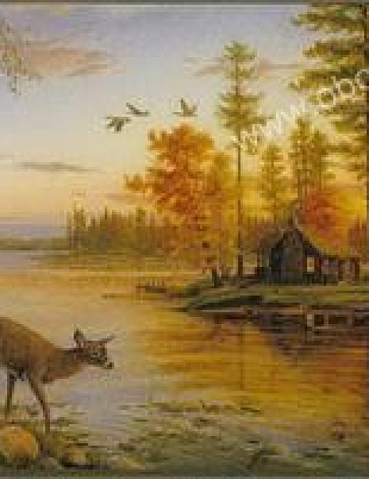 Обои Chesapeake Field Guide FG35541B