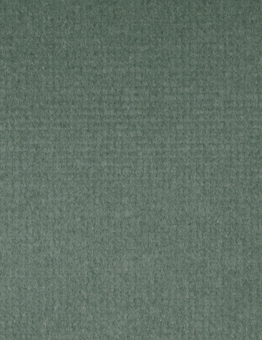 Ткань Alessandro Bini Velluto di Cotone G075/788