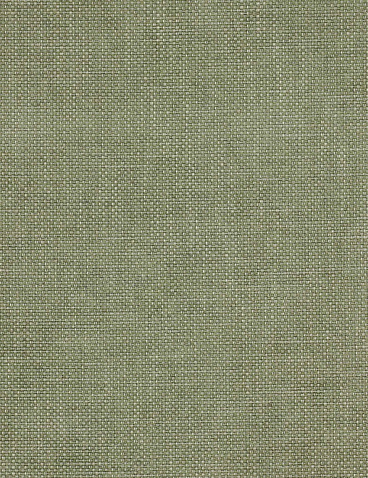 Ткань Colefax and Fowler Colour Library Green&Pink F3831/10