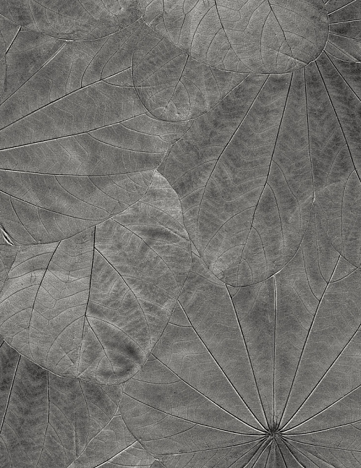 Панно и фотообои Italreflexes Macro Leaves-001/Slate