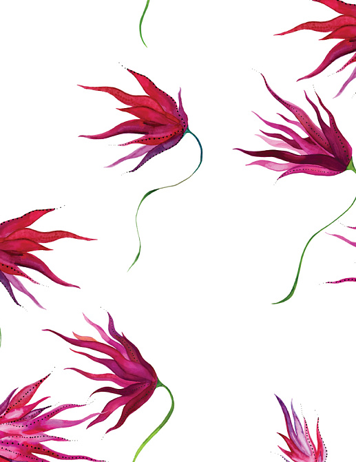 Обои Maison C Wallpaper Collection SKUED001