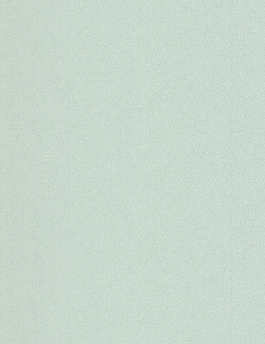Обои Chelsea Decor Vision DL22809