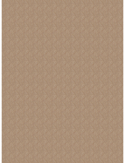 Ткань Fabricut Color Studio Vol.VII Copper First look/Amber