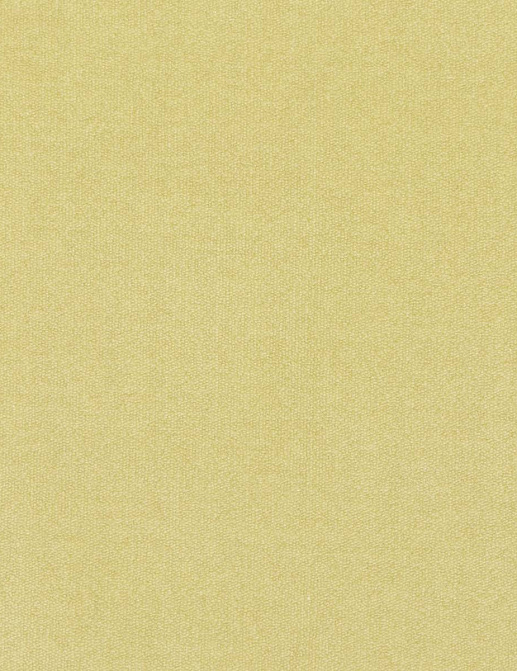 Ткань Loro Piana Doge Velvet AC3018/22