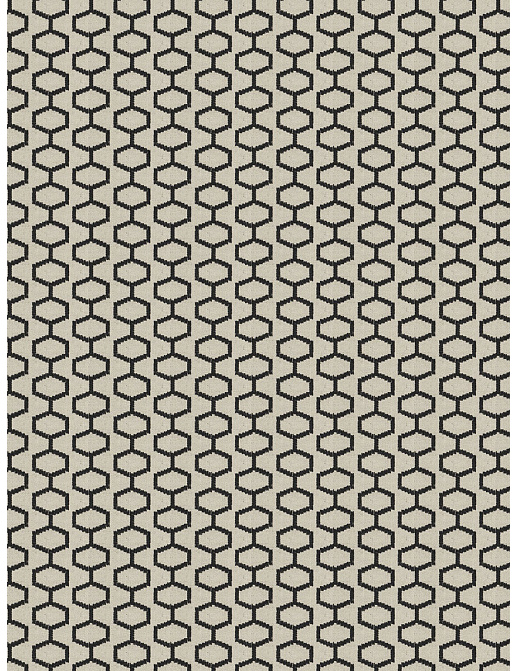 Ткань Fabricut Chromatics Vol.XXIII Charcoal Pascua/Black