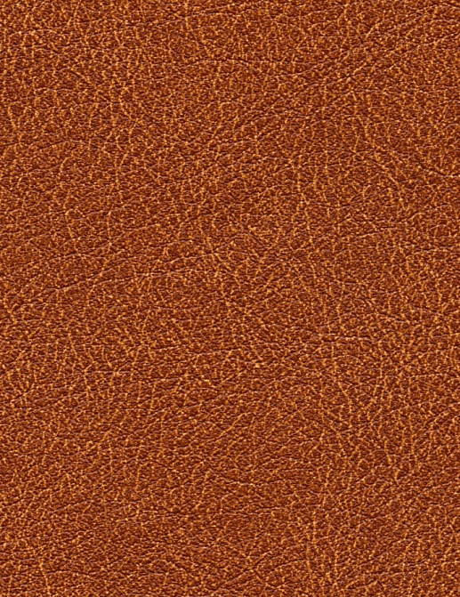Обои Elitis Cuirs Leathers VP69011