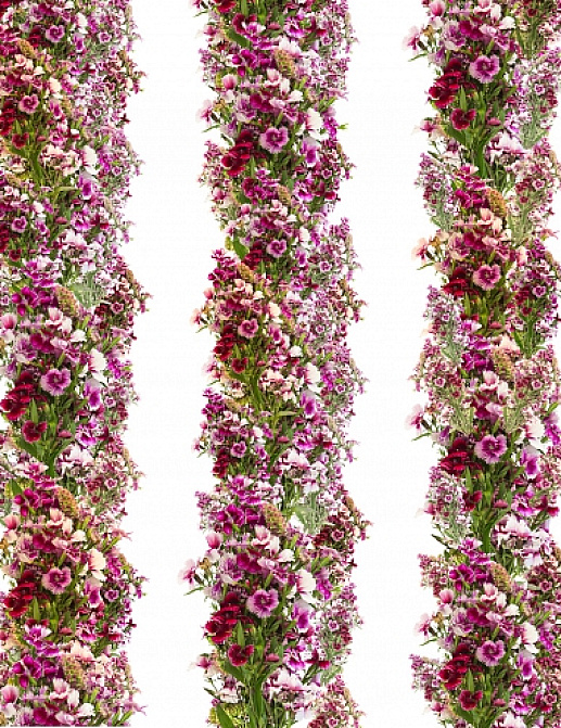 Панно и фотообои ID Wall Botanica ID048012