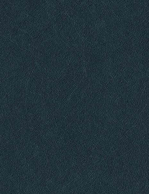 Обои Newmor Premier 15.608