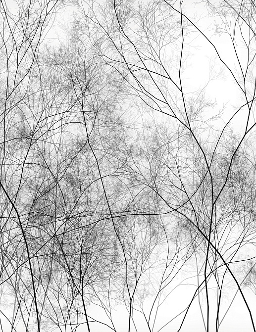 Панно и фотообои Glamora Creative Wallcovering HL121A
