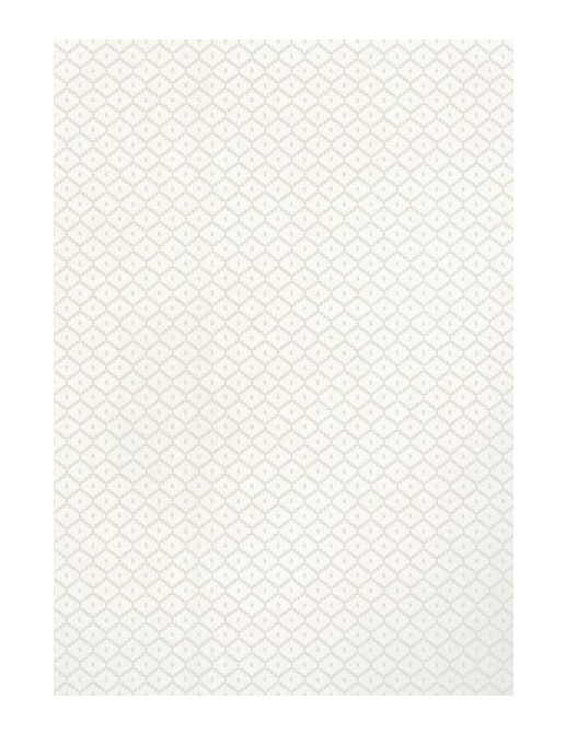 Обои Thibaut Caravan T64171
