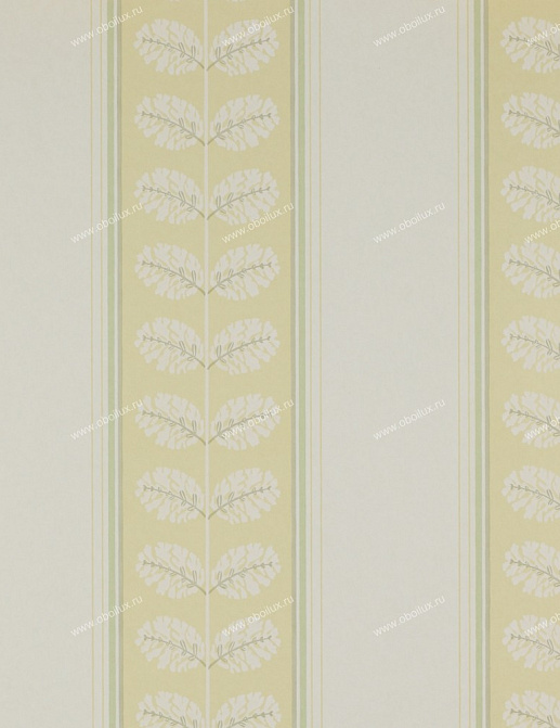 Обои Colefax and Fowler Ashbury 07992-03