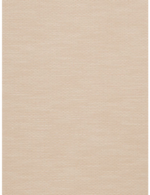 Ткань Fabricut Nate Berkus-Color Vol.II Canyon Ciro/Ginger