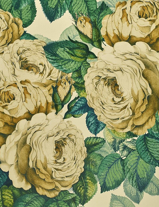 Обои Designers Guild John Derian - Picture Book PJD6002-01