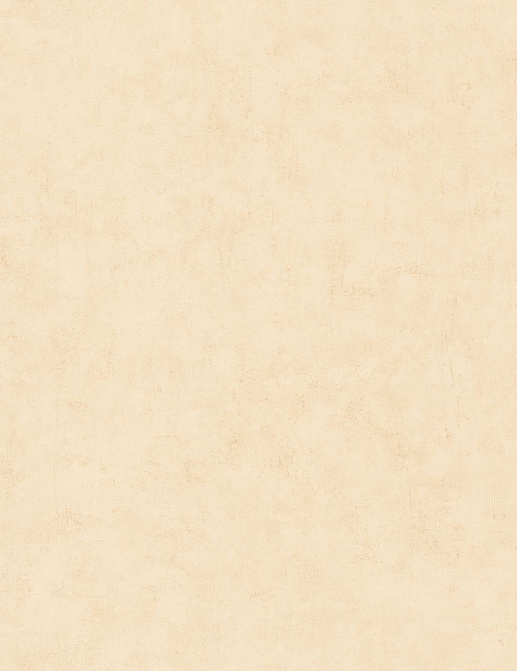 Обои Caselio Beton 2 BTO101481247